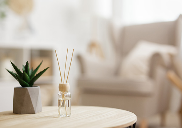 Reed diffuser and potted plant on a wooden table in a cozy therapy room.