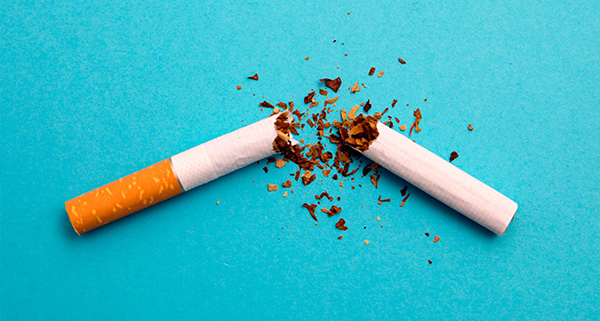 Broken cigarette with tobacco scattered on a blue background.
